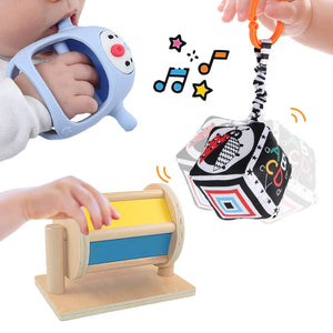 Multi-Sensory Developmental Toys Kit