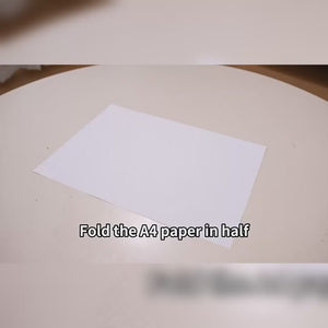 RC Paper Airplane